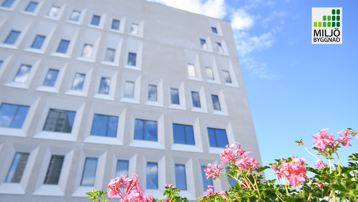 Rosa blommor framför en vit byggnad. I övre högra hörnet syns loggan för Miljöbyggnad.