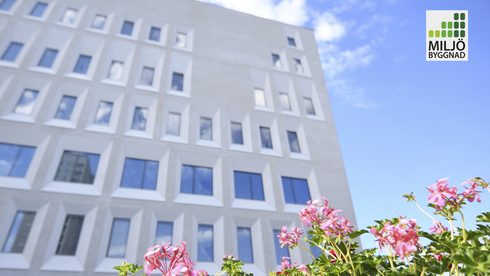 Blommor framför en byggnad med vit fasad. I övre högra hörnet syns logotypen för Miljöbyggnad.