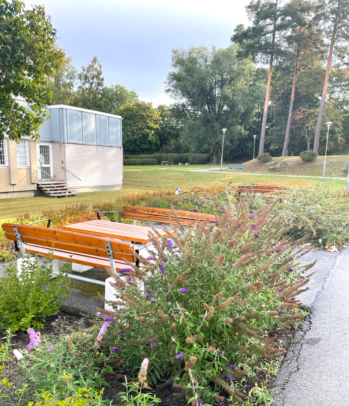 Träbänkar och bord som sitter intill en grönskande park på Jakobsbergs sjukhus.